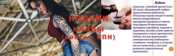 индика Покров