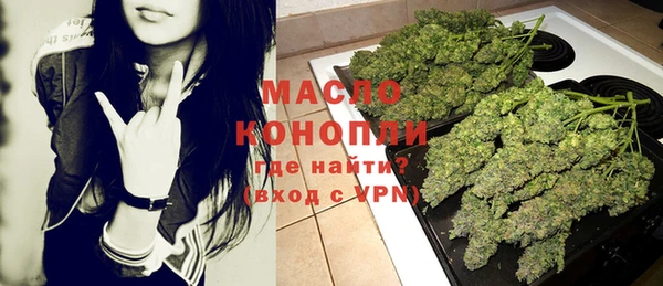 крисы Галич