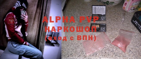 индика Покров