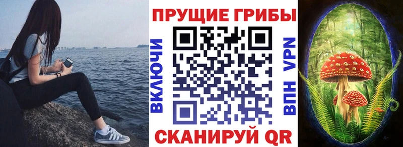 Галлюциногенные грибы Cubensis  купить наркотик  ссылка на мегу ONION  Кольчугино 