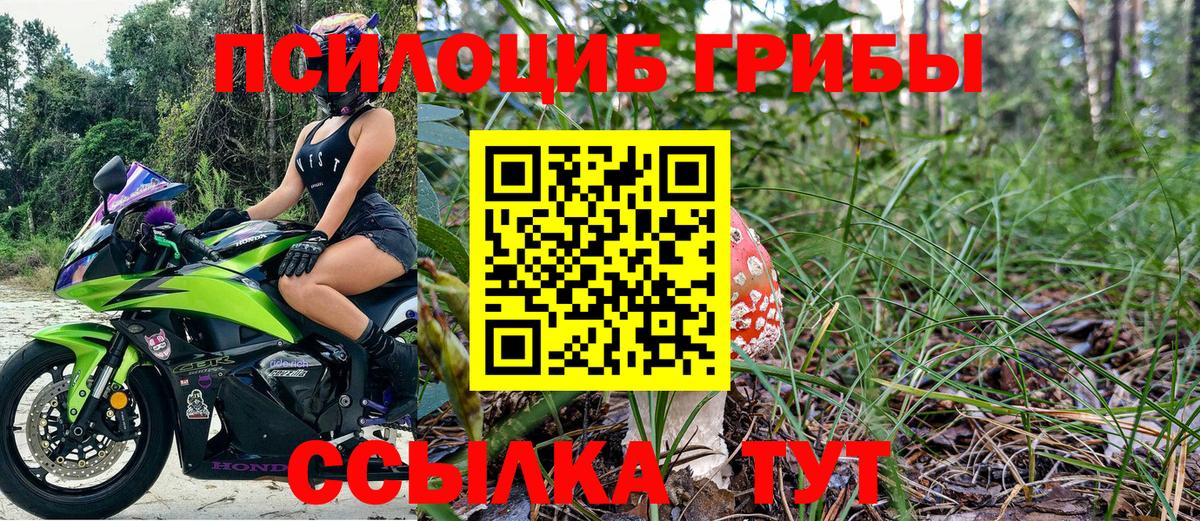 Галлюциногенные грибы Cubensis Кольчугино