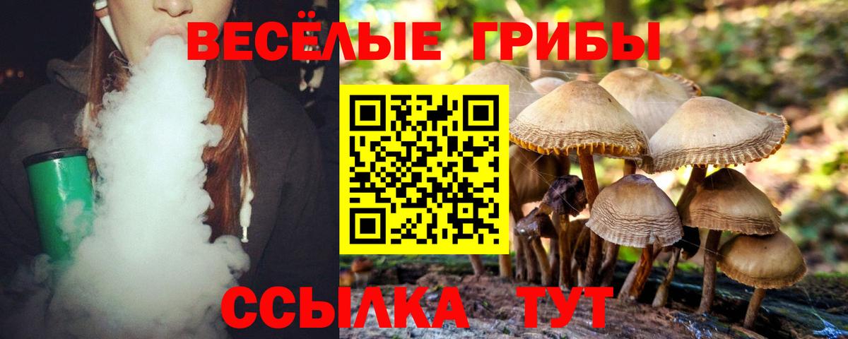 Галлюциногенные грибы Psilocybine cubensis  закладка  Галлюциногенные грибы MAGIC MUSHROOMS  Кольчугино  Вход с VPN 