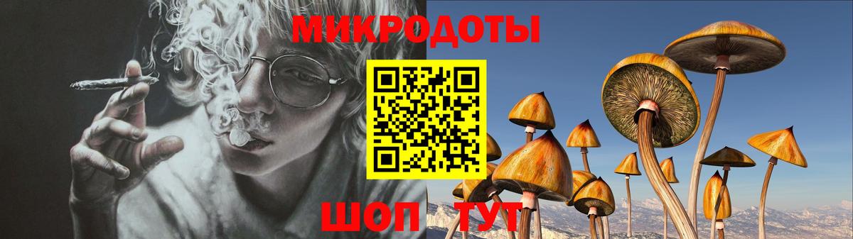 купить наркотик  Кольчугино  Псилоцибиновые грибы Psilocybine cubensis 