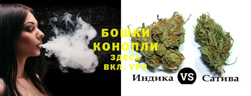 Бошки марихуана THC 21%  Кольчугино 